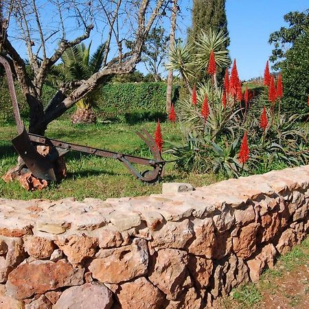Quinta Do Rio Country Inn Силвеш Экстерьер фото